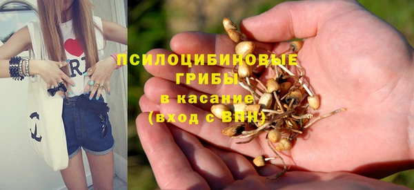 синтетический гашиш Козельск