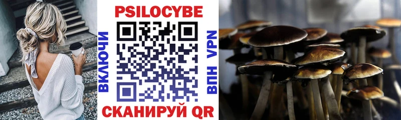 Псилоцибиновые грибы мицелий  Купить  Гатчина 